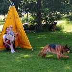 phoca_thumb_m_agility 61 Fotogalerie